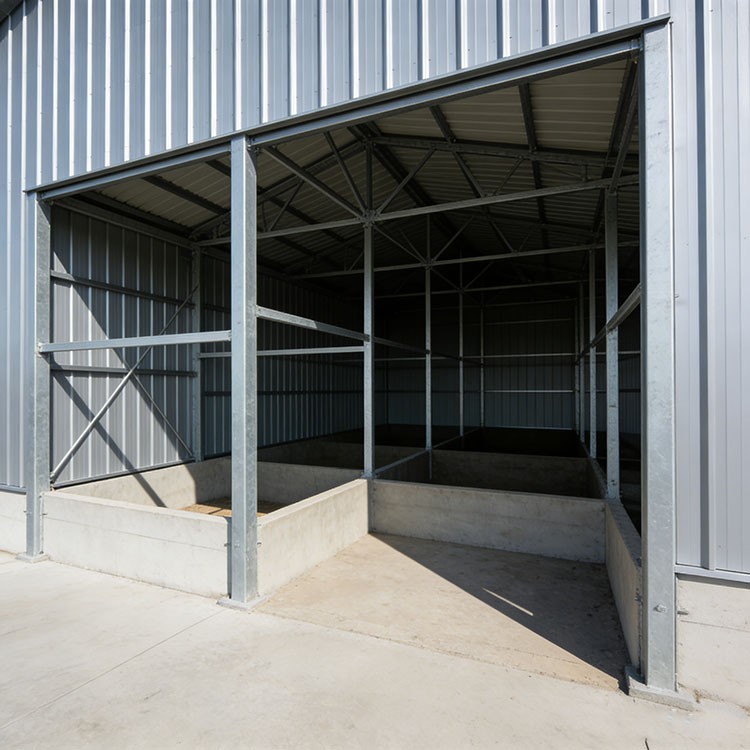 Steel Structure Livestock Shed best