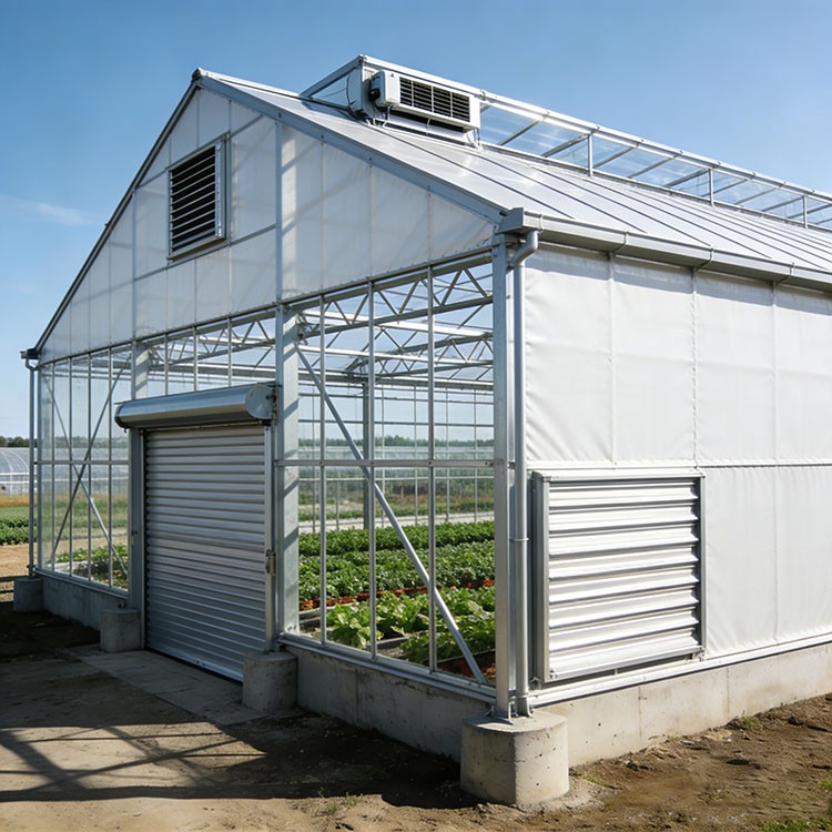 Steel Structure Vegetable Shed factory