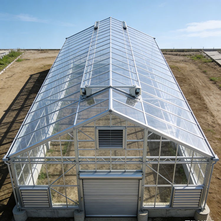 Steel Structure Vegetable Shed high quality