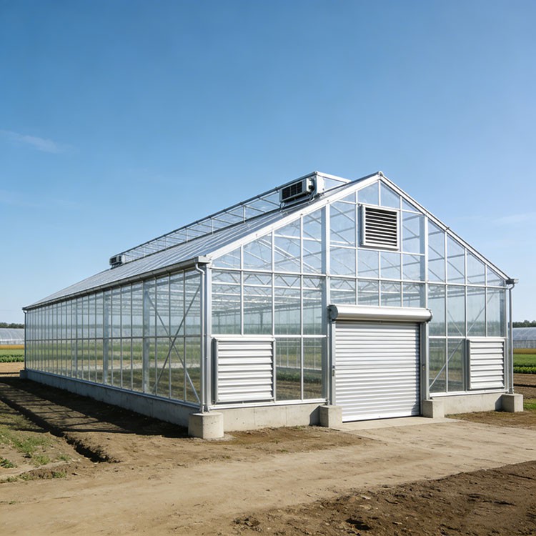 Steel Structure Vegetable Shed